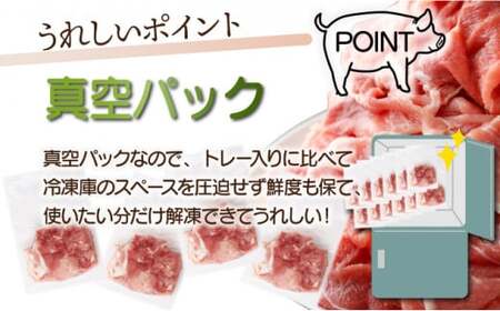 ＜2025年11月発送分＞宮崎県産 豚肉切り落とし 250g×20パック 合計5kg