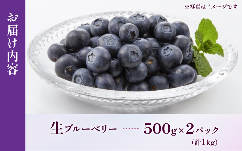 無農薬 童集乃村 ブルーベリー 生果 1kg 【2026年8月1日以降より順次発送】 フルーツ 果物 くだもの スムージー ジャム 朝食 デザート 特産品 人気 国産 旬 三重県 熊野市【mnak00