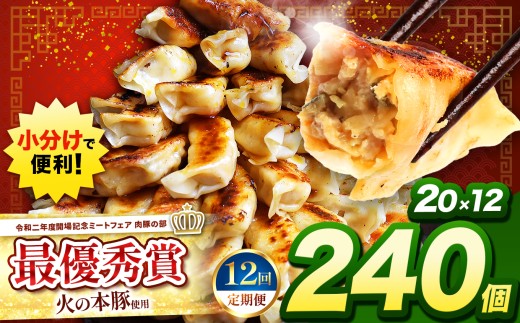 【 定期便12回 】 火の本豚餃子 （20個×12パック）240個入  | 熊本県 熊本 くまもと 和水町 なごみ 豚肉 火の本豚 地域ブランド ギョウザ ぎょうざ 20個 12パック 240個 冷凍餃子