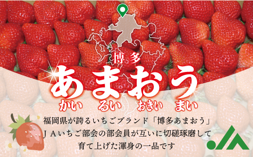 福岡県産冷凍あまおう800g(800g×1袋)[M1001]