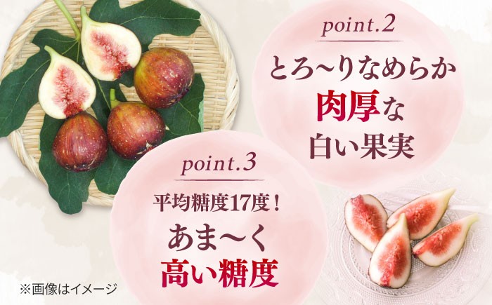 いちじく とよみつひめ 秀品 1.2kg イチジク 無花果 300g×4パック 
