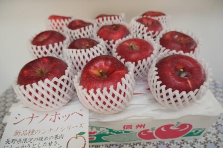 003-010 【限定20箱】 長野生まれの甘いりんご シナノホッペ 1箱(5kg)