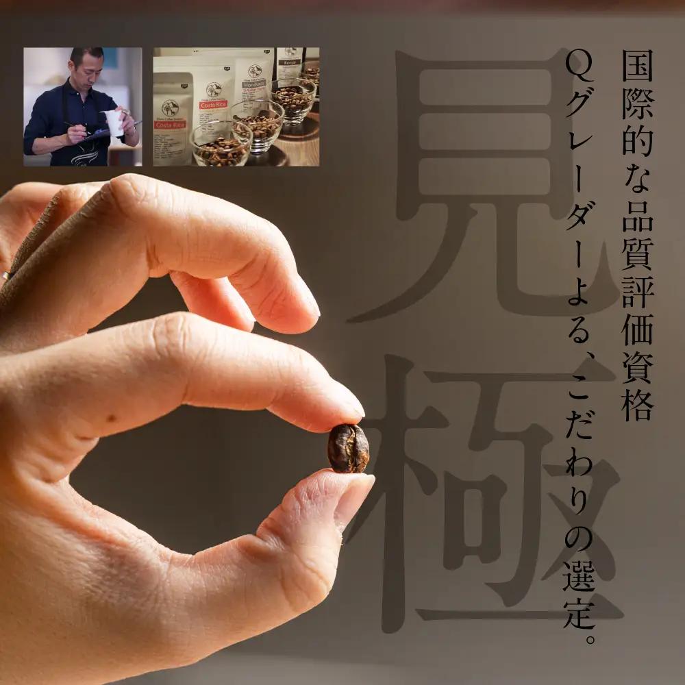 スペシャルティ 浅煎り/豆 300g 3種 コーヒー