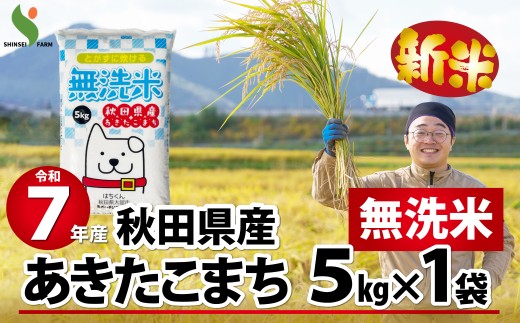 【新米】令和7年産秋田県産あきたこまち(無洗米)5kg 75P9203　/ 米 無洗米 5kg 白米 令和7年産 秋田県産 あきたこまち 5kg×1袋 おにぎり 大館 東北 秋田 小分け こわけ 大館市 5キロ 5ｷﾛ 5きろ