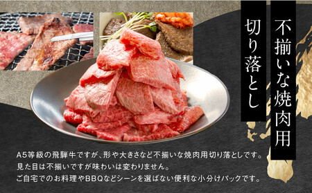 【形不揃い訳あり】A5等級飛騨牛 焼肉 切り落とし600g（冷凍配送）| 牛肉 肉 和牛 キャンプ 肉料理 ブランド牛 不揃い 人気 国産 お取り寄せ グルメ おすすめ 牛肉 株式会社岩ト屋 HF04