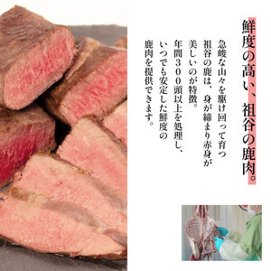鹿肉モモブロック 1kg ウチ ジビエ 国産 祖谷 地美栄【 ジビエ 】