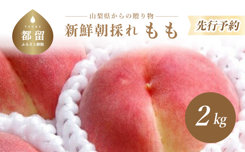 
            【2025年先行予約】山梨県都留市産 桃詰合せ 2.0kg (5～8玉) 厳選 品種 おまかせ もも モモ 日川白鳳 あさま なつっこ 夢みずき あかつき スイーツ ピーチ フルーツ デザート お祝い プレゼント くだもの 甘い 糖度  【アズールヤード】
          