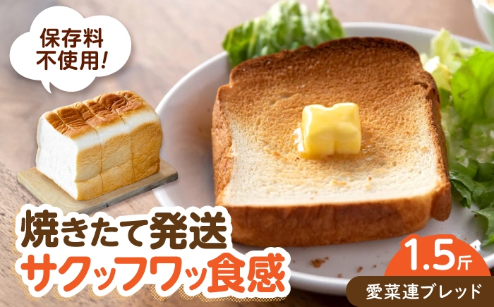 
                  パン 愛菜連ブレッド (食パン 1.5斤)  広島県福山市/マルフク株式会社 食パン 焼きたて ふんわり 朝食 トースト シンプル 国産 もちもち [BAFW008]
                