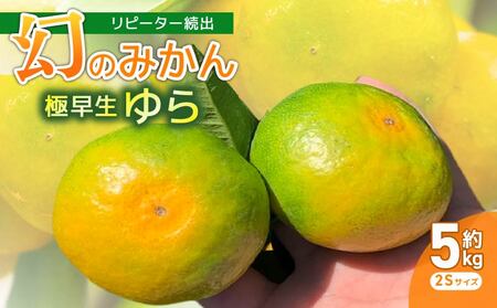 服部農園 ゆら早生 みかん 5kg ２Sサイズ みかん みかん みかん 極早生 みかん 早生 みかん  HT-01
