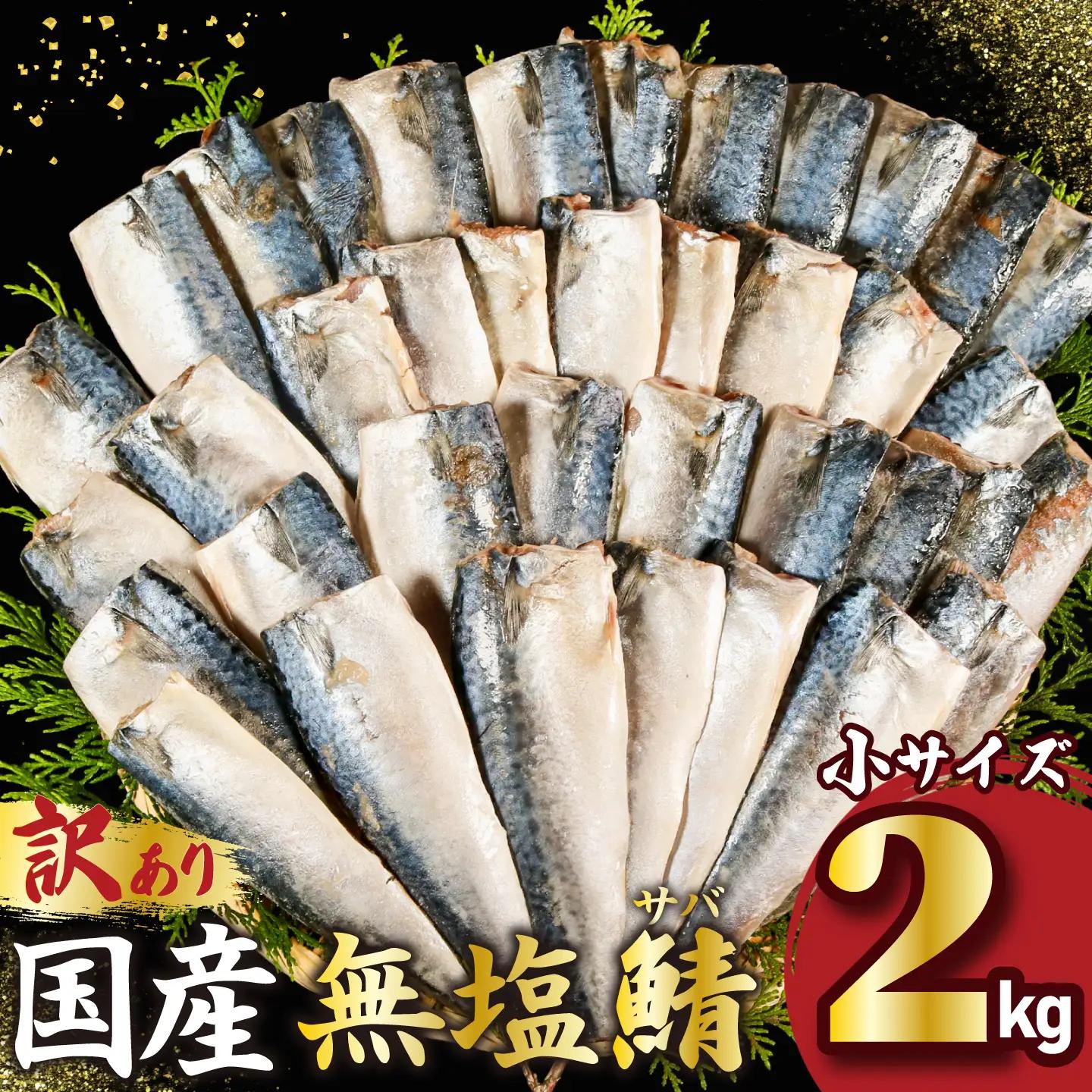 訳あり 国産 無塩さば 約2kg 小サイズ サバ