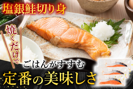 お刺身トラウトサーモン1～2本(計400g)＆塩銀鮭切り身1切(約70g)×10P A-09122