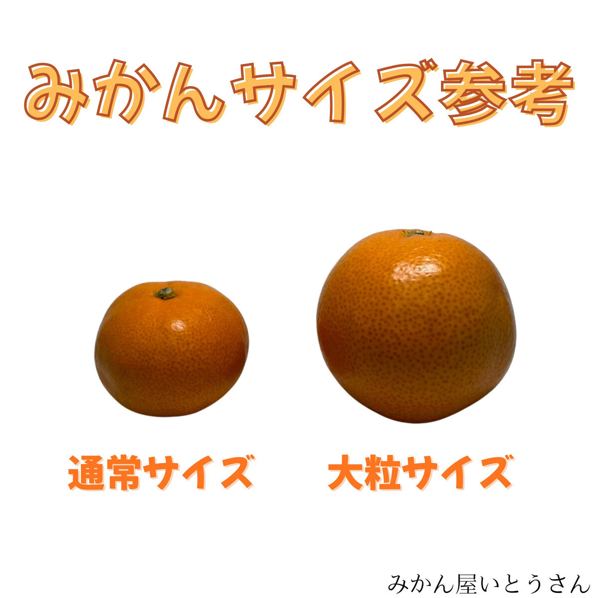 家庭用 大粒有田みかん 1kg (約7個～8個) DJ046_イメージ2