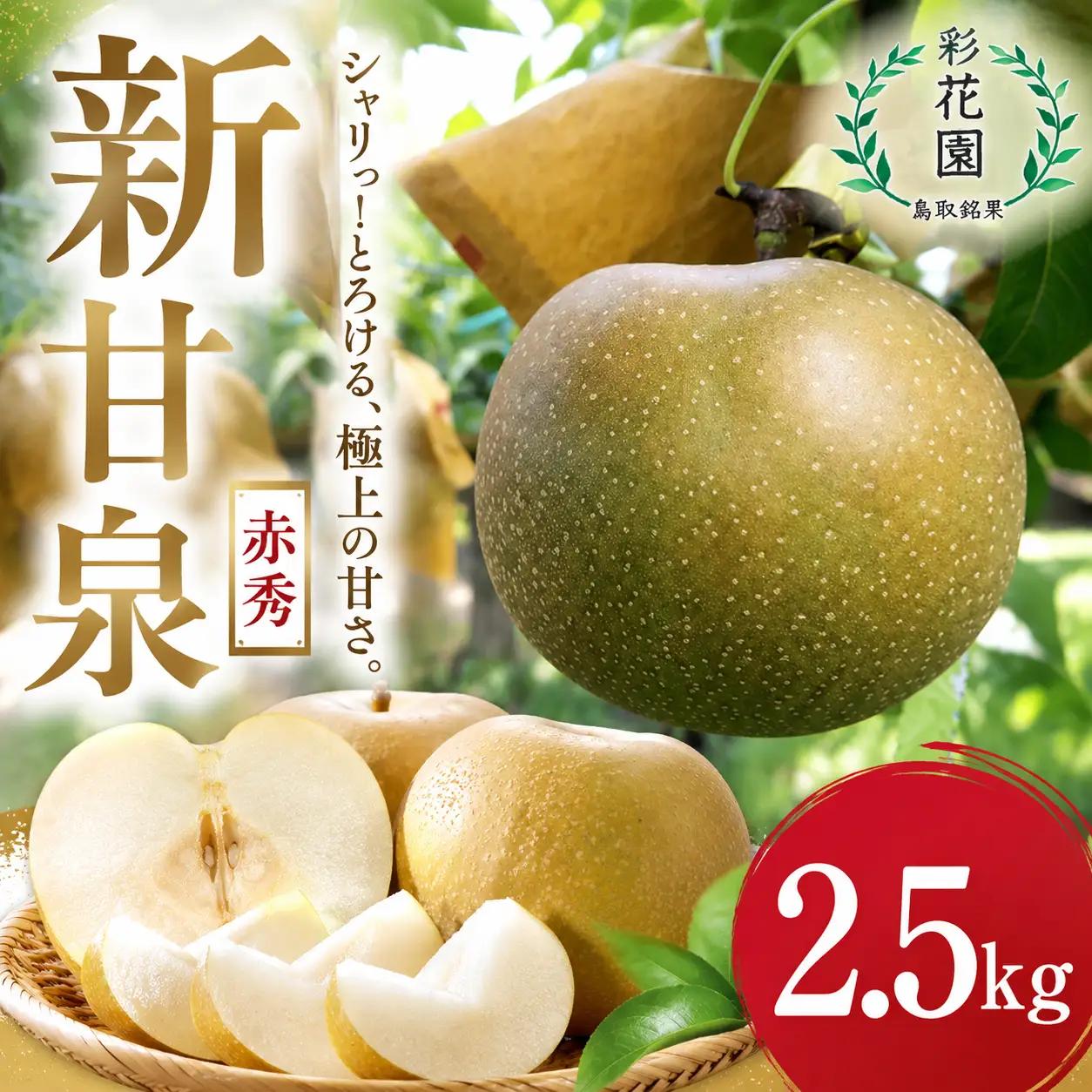 Y482 【2027年発送分先行受付】新甘泉(赤秀) 2.5kg【彩花園】
