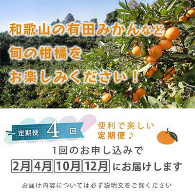 ふるさと納税 和歌山市 【発送月固定定期便】季節の柑橘定期便B【フルーツ定期便】【和歌山県有田】全4回 |  | 01
