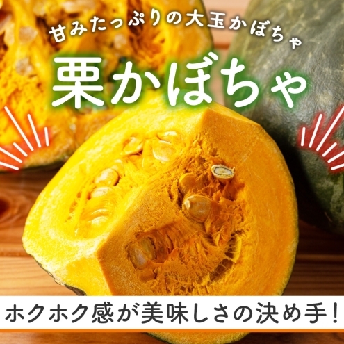 北海道 かぼちゃ じゃがいも セット 合計10kg 先行受付 ジャガイモ 馬鈴薯 ポテト 芋 イモ カボチャ パンプキン 緑黄色野菜 甘い ほくほく 農作物_イメージ2