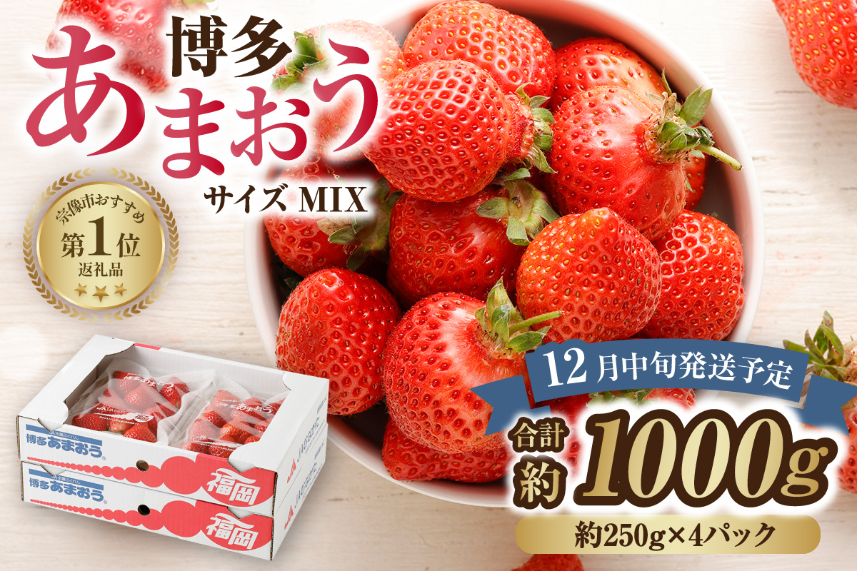 【先行予約】【アフター保証】どこよりも早くお届け！12月発送「博多あまおう」約250g×4パック【ほたるの里】_AS0502-00