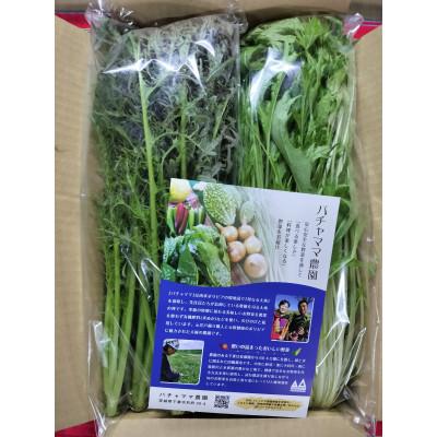 ふるさと納税 下妻市 【毎月定期便】お楽しみ★農園自慢の情熱野菜セット7袋　フードロス対策　訳あり　規格外全6回 |  | 02