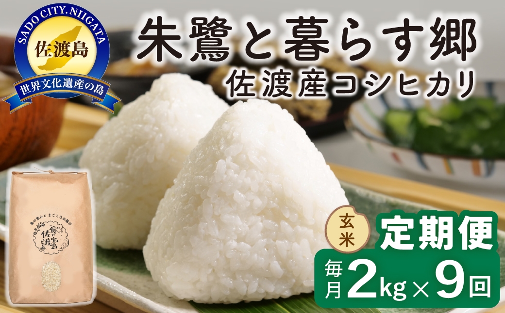 
                  【定期便 令和8年産新米 9か月】 佐渡島産コシヒカリ 玄米 2kg 令和8年産新米 特別栽培米 | 新潟県産コシヒカリ 新潟産コシヒカリ 佐渡産コシヒカリ 新潟県産こしひかり 佐渡産こしひかり お米 米 こしひかり 玄米 げんまい おこめ コメ 2キロ にいがた さど 新潟県 佐渡市
                