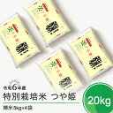【ふるさと納税】 米 新米 令和6年産 つや姫 20kg 大石田町産 特別栽培米 精米 送料無料 ※沖縄・離島への配送不可