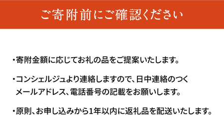 【あなただけの特別プラン】豊前市 コンシェルジュ 寄附額 100万円 コース おすすめ おまかせ 定期便 [VZZ002]