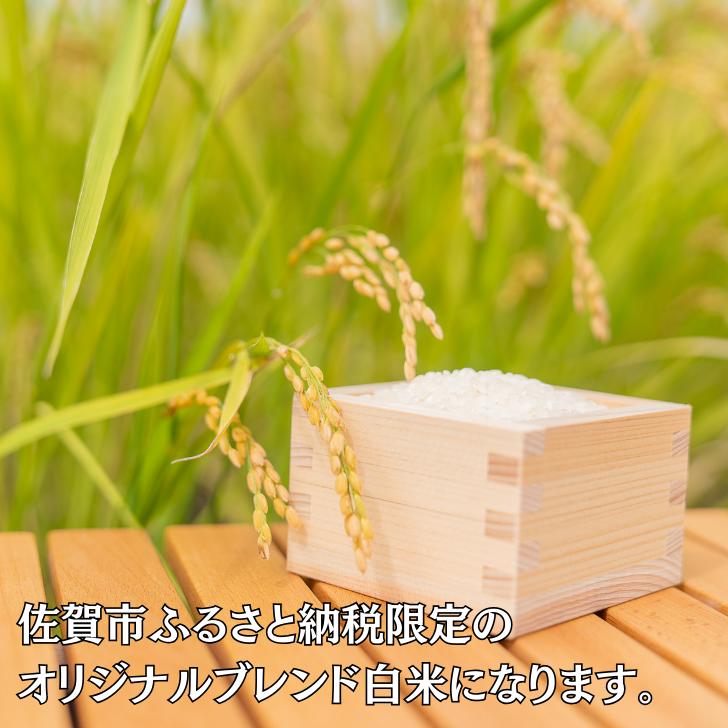 佐賀市ふるさと納税限定 オリジナルブレンド白米 10kg：B240-029