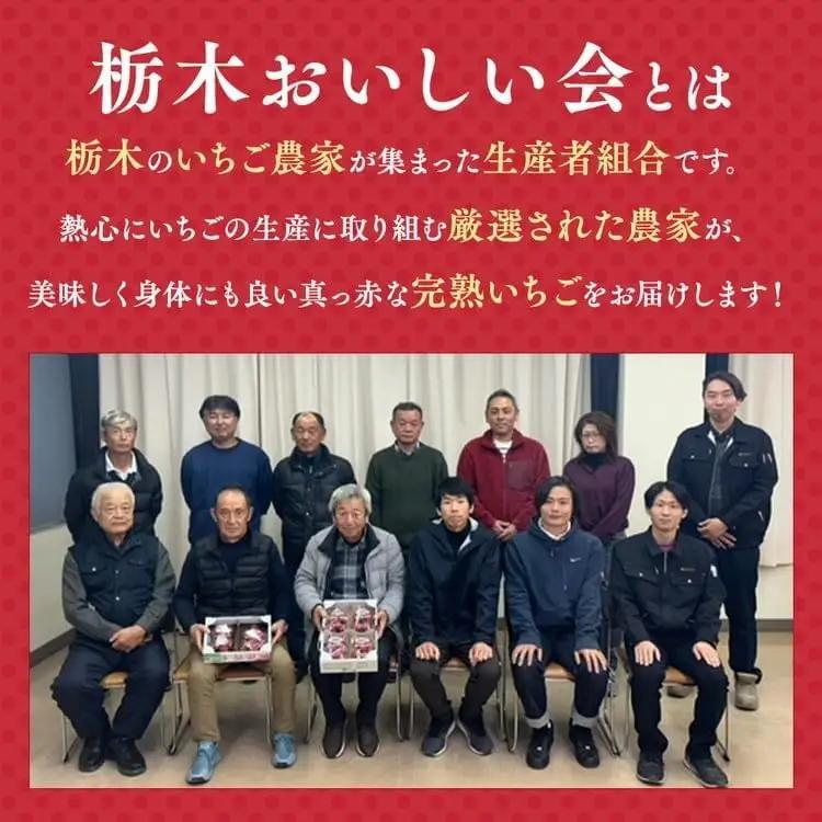 栃木おいしい会のいちご（とちあいか）260g×8パック（2080g）｜栃木県共通返礼品 栃木県産 ※2027年1月～発送