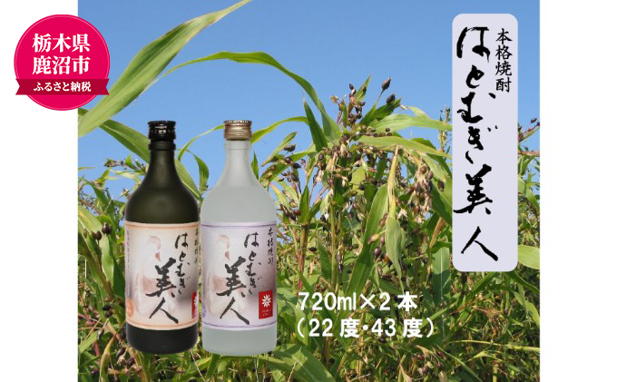 【栃木県 鹿沼市産】 本格焼酎 はとむぎ 美人 2本セット（22度・43度）各720ml×２本 酒 焼酎 麦 酒 米焼酎 お酒 