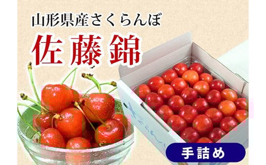 《先行予約 2026年度発送》さくらんぼ【佐藤錦】秀品 L 手詰め 500g FSY-0154