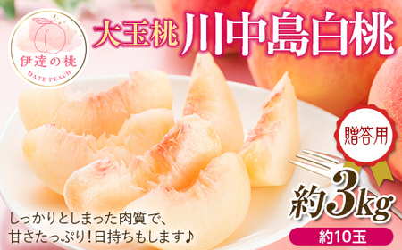 福島県産 川中島白桃 3kg（約10玉） 2025年8月中旬～2025年8月下旬発送 2025年出荷分 先行予約 予約 固め 白桃 大玉 伊達の桃 桃 贈り物 贈答 ギフト もも モモ 果物 くだもの フルーツ 国産 食品  F20C-521
