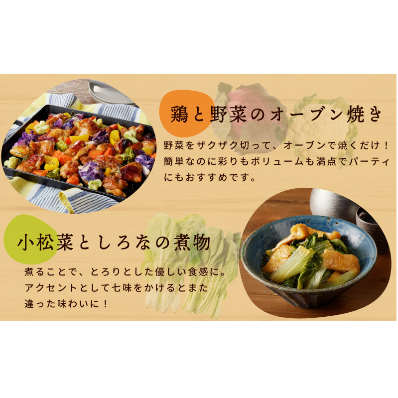 季節の泉州野菜 7種 おまかせセット ピクルスの素 1袋付き いずみピクルス NSW 005A609_イメージ5