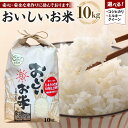 【ふるさと納税】【令和6年産新米】こしひかり or ミルキークイーン 10kg（農薬・化学肥料不使用）9月より順次発送