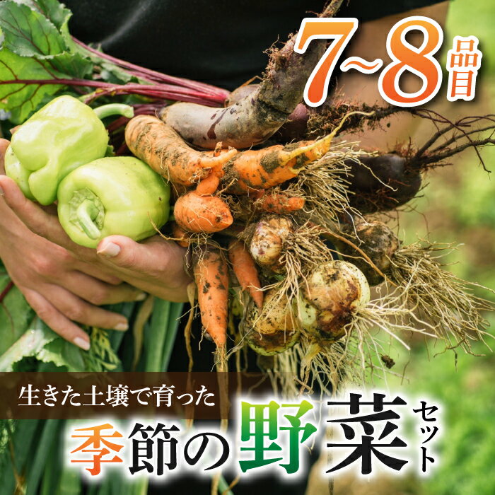【ふるさと納税】【里山JAPAN】長野県東御市産生きた土壌で育った『季節の野菜セット』（7〜8品目）