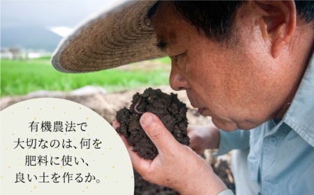 【全6回定期便】籾付玄米茶 300g×1袋【葦農】HAJ029 お茶 玄米茶
