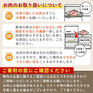 ＜14営業日 以内発送！＞鹿児島県産 黒毛和牛 カイノミ ステーキ (計300g・150g×2) 国産 牛肉【肉のちょーさん】A988