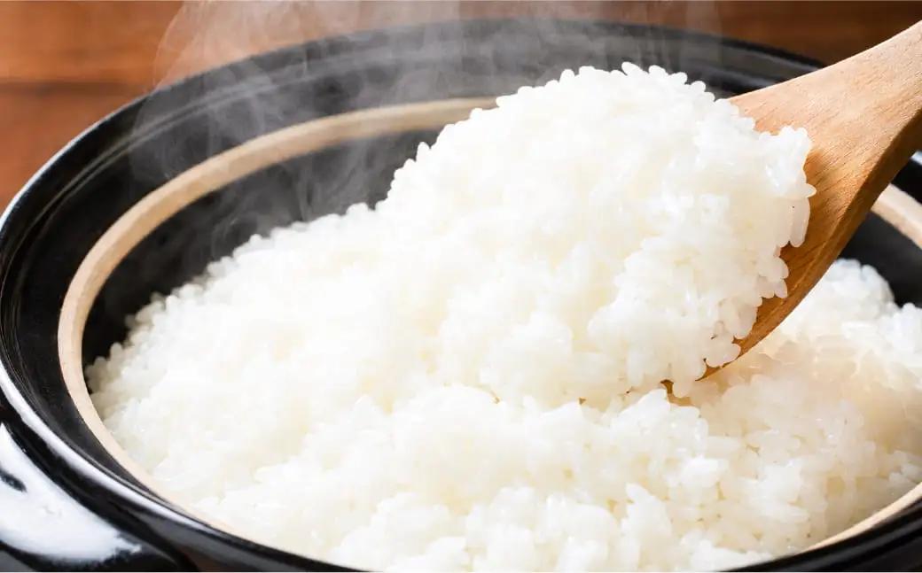 【R8年産】新米 久万高原町 清流米 こしひかり 10kg｜特別栽培米 減農薬 減化学肥料 コシヒカリ 白米 愛媛県産 米 ※2026年9月～発送
