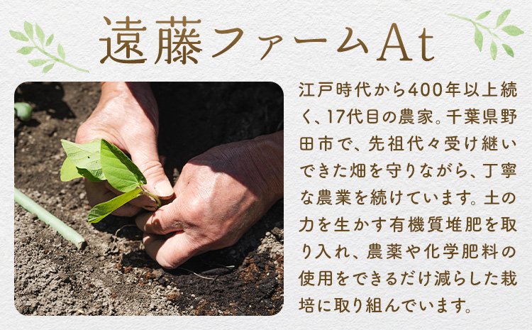 枝豆の聖地・千葉県野田市産！枝付き枝豆 約2kg