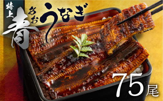 厳選 高級 青うなぎ 蒲焼 75尾 11250g 訳あり 大容量 冬うなぎ