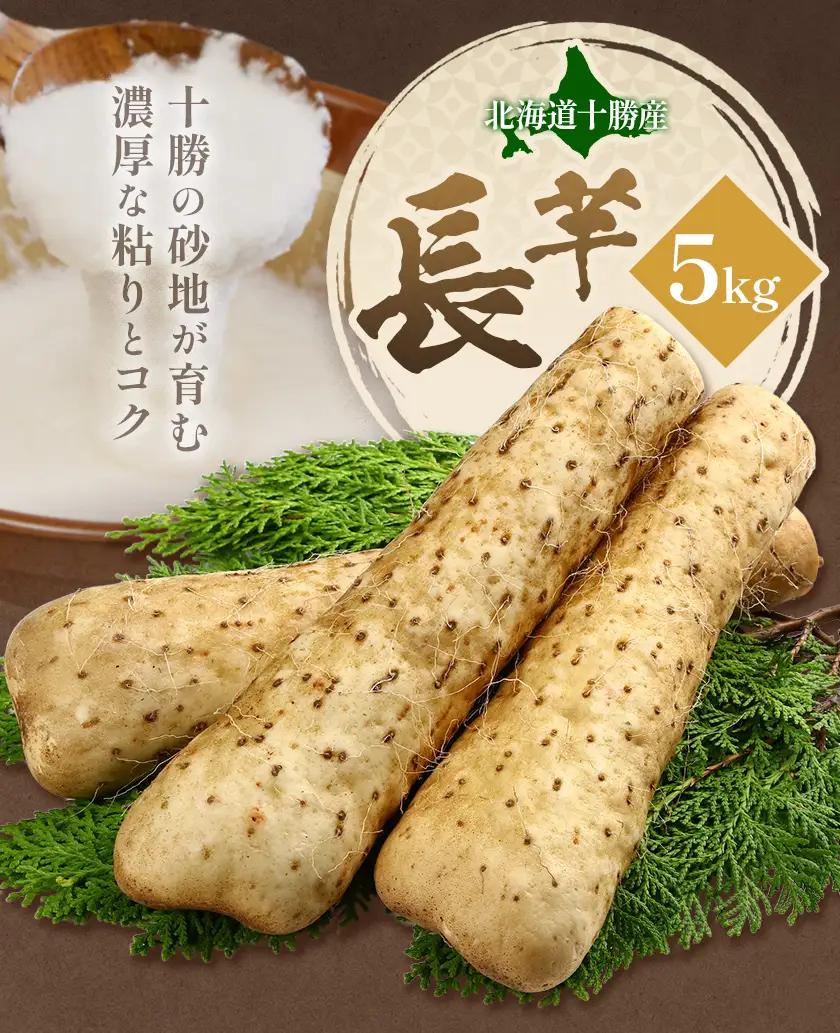 【ふるなびWEEK対象】 秋掘り ながいも 5kg 植村農場《12月上旬頃から出荷》