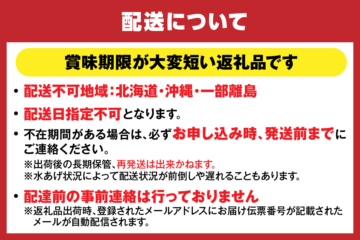 【先行予約】柴山産 茹で タグ付 柴山ガニ 1匹（約800g以上）冷蔵【令和8年11月中旬以降発送予定】 かに 香美町 37-07