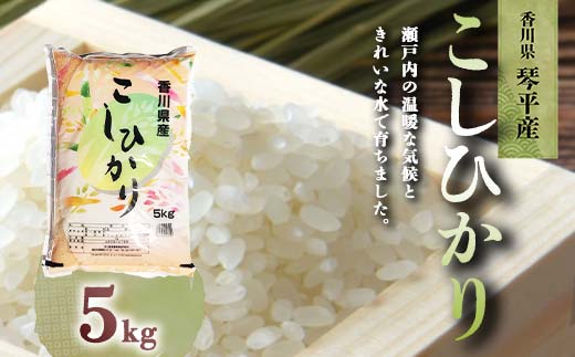 令和7年度産 新米 香川県琴平産コシヒカリ 5kg 《入金後2週間以内に発送》 銘柄米 ブランド米 国産 こしひかり コシヒカリ 米 精米 お米 ライス ギフト 贈り物 四国 F5J-1314