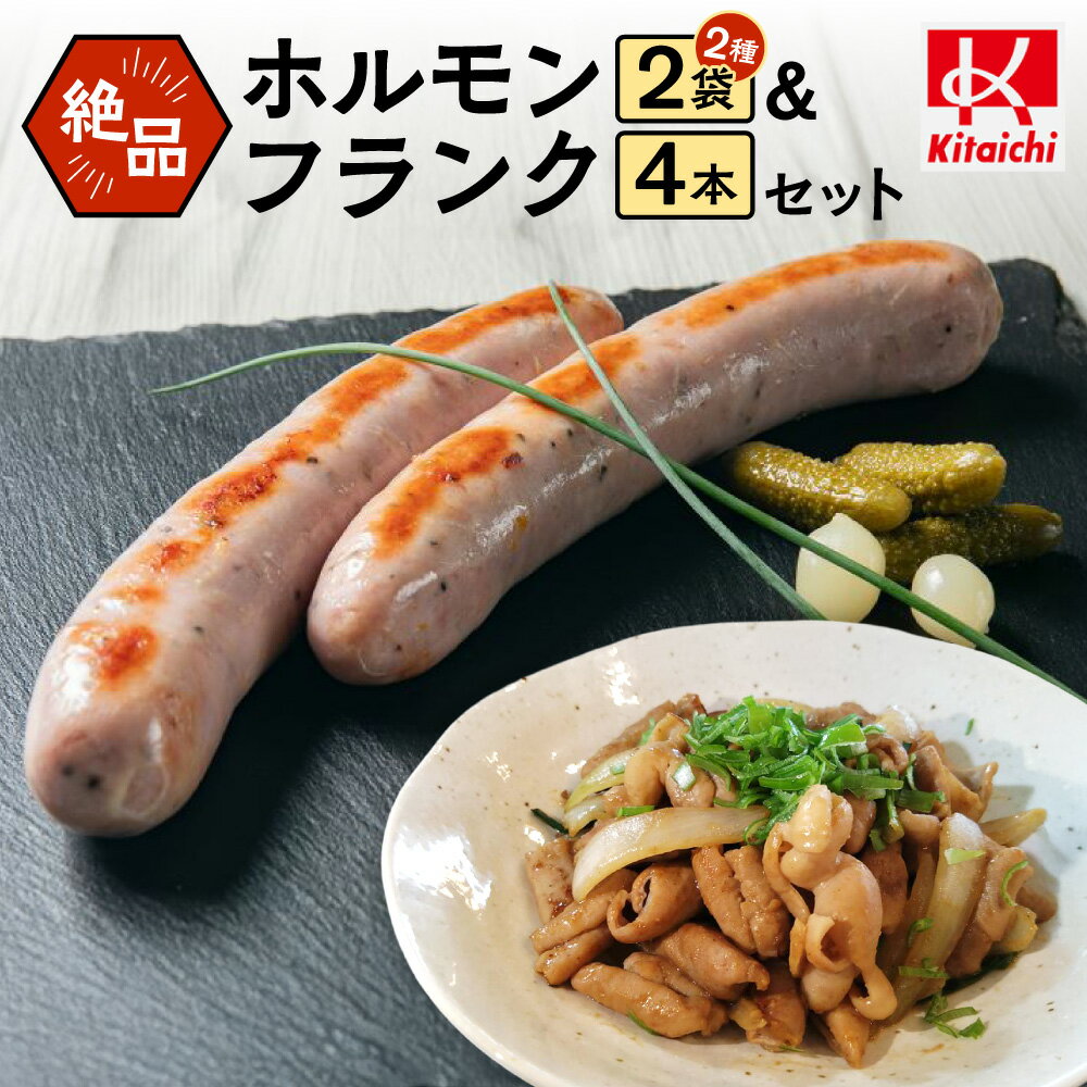 【ふるさと納税】 ホルモン フランク セット 塩ホルモン 味噌ホルモン プレーンフランク 各500g 国産 豚ホルモン 豚 もつ ジャンボフランクフルト 焼肉 もつ煮込み もつ鍋 ホットドッグ BBQ おかず おつまみ お取り寄せ グルメ 詰め合わせ 冷凍 北海道 札幌市