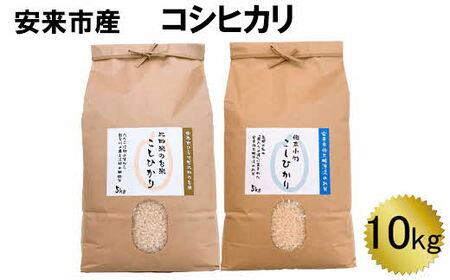 安来産 コシヒカリ 10kg  ［令和6年産］／  新米 こしひかり 棚田米 精米 白米 食べ比べ