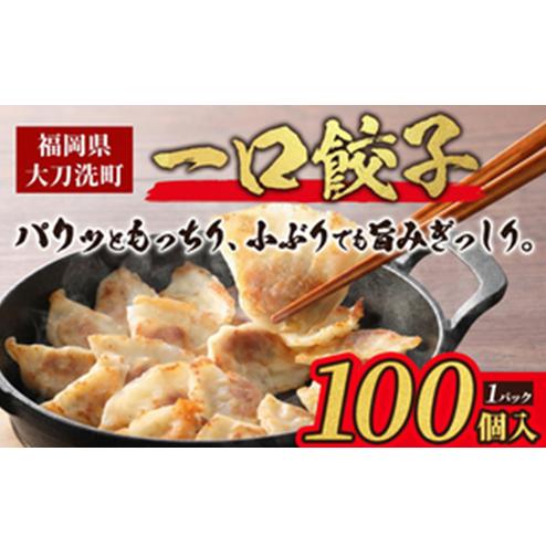 大刀洗 一口餃子 100個 特製たれ セット【ふるさと納税限定】 餃子_イメージ1