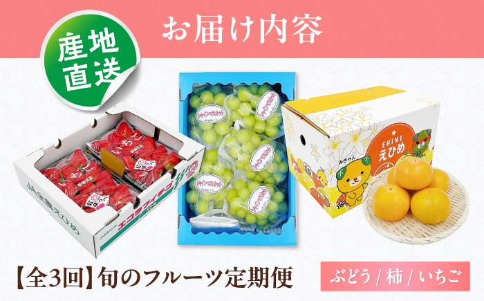 かき カキ ブドウ 葡萄 いちご 苺 イチゴ 果物 フルーツ 国産 産地直送 甘い ジューシー 愛媛 愛媛県 内子町 四国