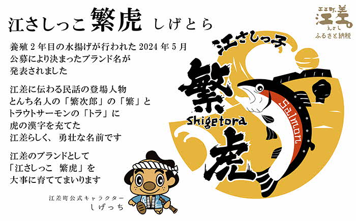 北海道産 スモークサーモンと切り身セット 2箱 ［スモーク100g（50g×2P）&切り身60g×3切れ（個包装）／化粧箱］×2　　王子サーモン　北海道江差産トラウトサーモン　純国産ブランドサーモン『