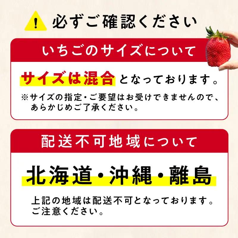 【2027年1月～2027年4月発送予定】【自宅用】朝摘みいちご よつぼし  1.5kg【ふるさと納税3.0】【117D-007-2027】