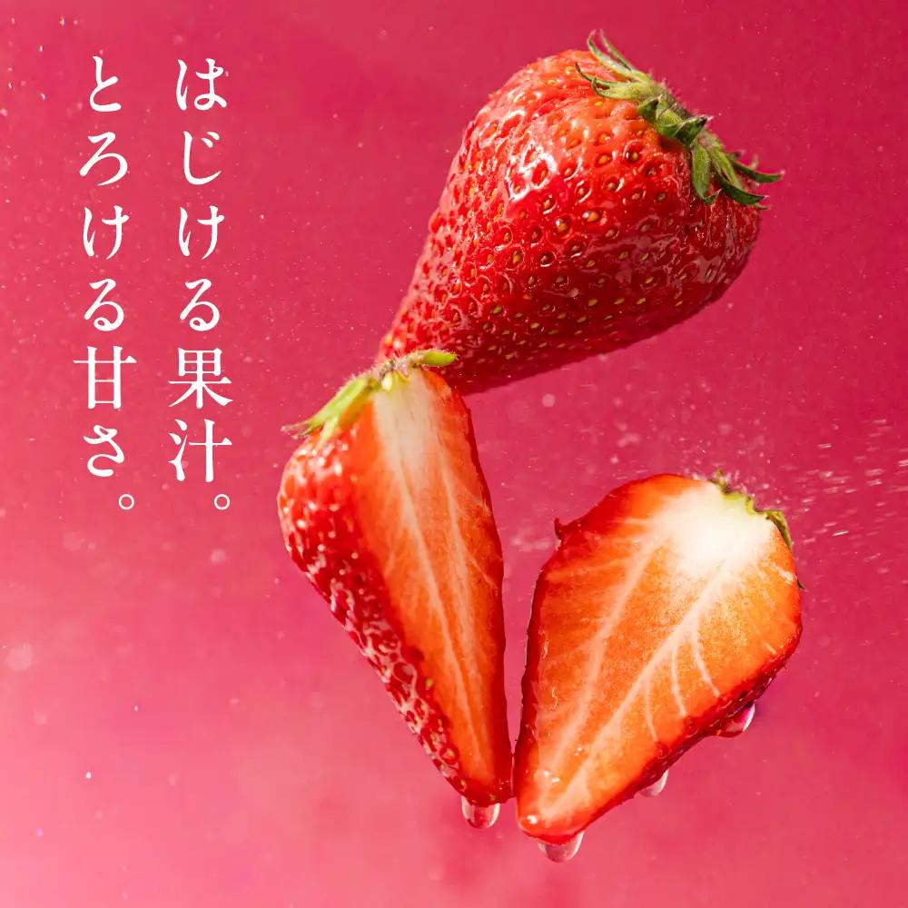 【先行予約】《2027年1月～発送》令和9年産 品種おまかせ いちご 紅ほっぺ かおり野 1kg (250g × 4p) サイズ 不揃い 農園直送 生食 ケーキ [mt2205]｜フルーツ 果物 苺 