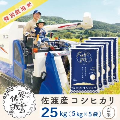 ふるさと納税 佐渡市 佐渡島産コシヒカリ 白米25Kg(5Kg×5袋) 令和7年産 特別栽培米 農家直送