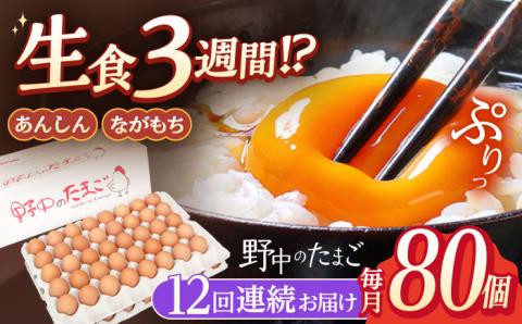 【12回定期便】産みたて新鮮卵 野中のたまご  80個×12回 計960個【野中鶏卵】 [OAC009] /卵 たまご 高級卵 卵焼き 卵かけご飯 たまご 濃厚たまご タマゴ