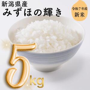 令和7年度産　上越市産みずほの輝き　5kg　新米　精米　新潟　米　新潟県　みずほの輝き　限定　おすすめ